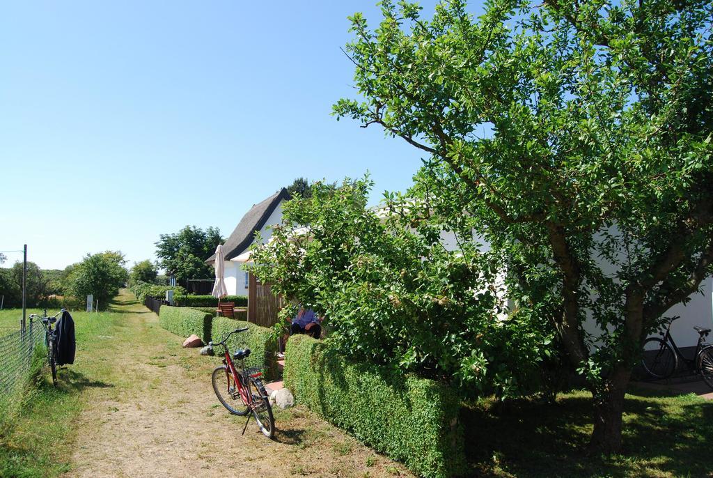 Ferienwohnung Hiddensee In Vitte Bagian luar foto